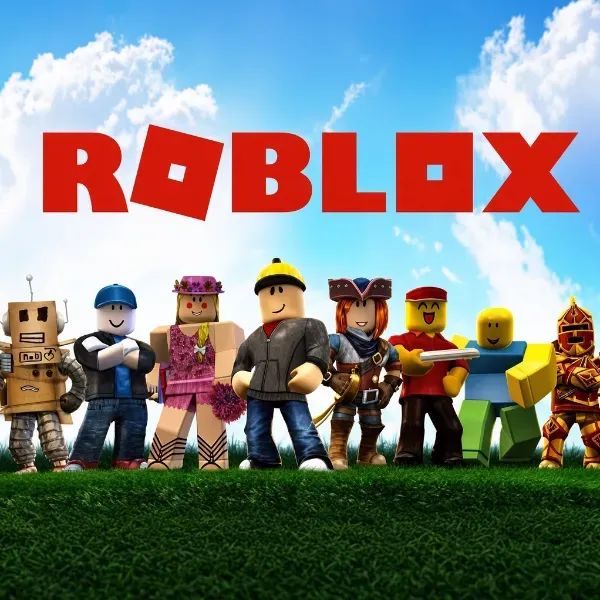 Roblox USA 100$
